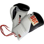 Boxing Gloves and Mitts