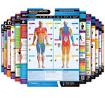 Exercise and Nutrition Posters