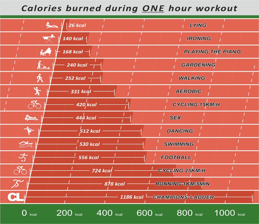 Champions Ladder Ultimate Calorie Burn Chart