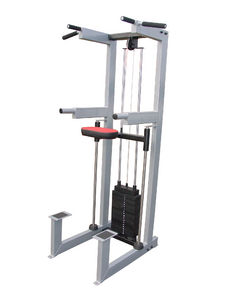 GymRatZ Assisted Chin/Dip Station