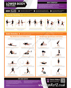 Exercise Poster - Lower Body Stretching
