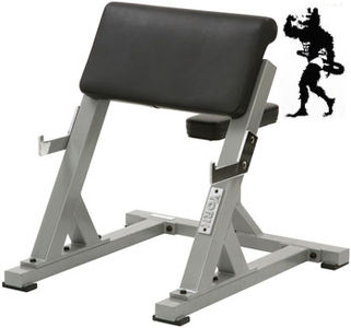 York STS Seated Preacher Curl