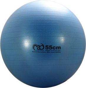 300Kg Anti-Burst Swiss Ball 55cm