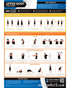 Exercise Poster - Upper Body Stretching
