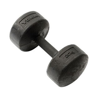 York Legacy Dumbbell 20Kg (sold as individually)