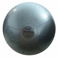 500Kg Pro Swiss Ball 55cm  
