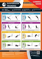 Exercise Poster - Suspension Training