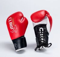 Pro X Fight Gloves - Tigris Sondaica