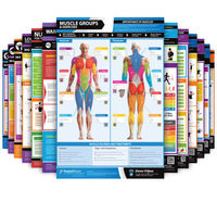 Set of 13 Health & Fitness Posters