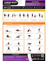 Exercise Poster - Lower Body Stretching