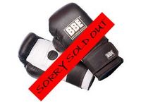 BBE Professional Coach Sparring Gloves